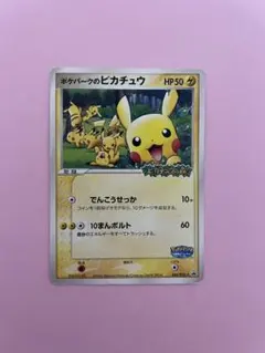 2026年最新】ポケパークのピカチュウの人気アイテム - メルカリ