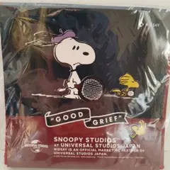 Item thumbnail for item 7d51d3a6-ec21-49df-910b-d98c7e94e50b