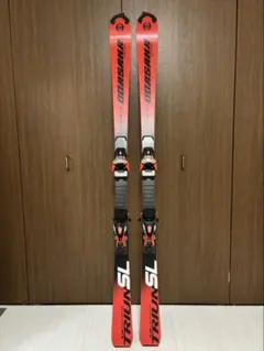 2019-2020年NORDICA GS 193cm R30 レーシング - メルカリ