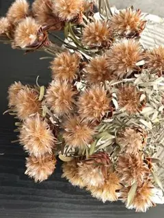 ちぃ(お値引きNG)様 リクエスト 3点 まとめ商品