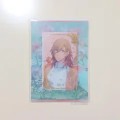 (メル力リ出品のみ) カスタマイズビジュアルカ一ド FH