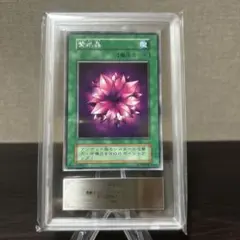 遊戯王　初期　ブースター　紫水晶　字レア　ARS6点 ARS10 鑑定書付【コンパクト送料無料】遊戯王 初期 悪魔払い