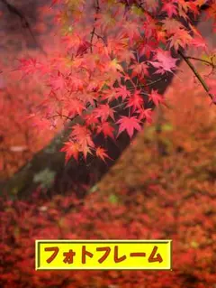 【リビング用フォトフレーム】紅葉の写真（２L判。オリジナルフォト）