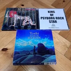 24時間以内発送 ToshI hide CDセット