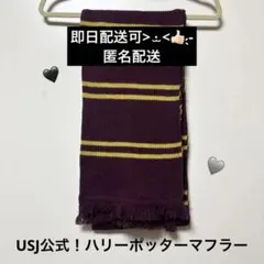 【USJ公式】ハリーポッターグリフィンドールマフラーのサムネイル