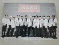 セブチ　HARU 　集合写真 ローソンプリント