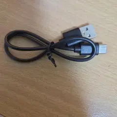 TypeC USB充電コード