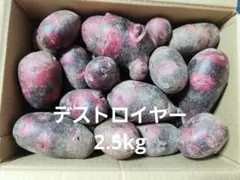 長崎県産超小粒デストロイヤーじゃがいも10㎏ - メルカリ