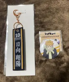 ハイキュー 日向翔陽セット