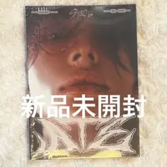 Stray kids ヒョンジン ATE accordion ver 新品未開封