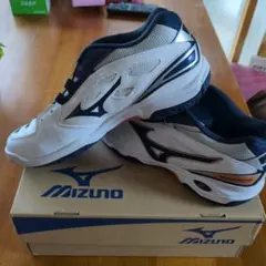未使用 タグ付き】MIZUNO ブライトトレーナー 野球 27.5cm - メルカリ