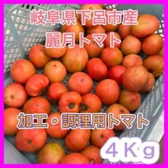 【訳あり品】農家直送 大玉トマト 麗月 4Kg 加工用 加熱用 飛騨トマトのサムネイル