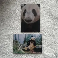 ピコちゃん様 リクエスト 2点 まとめ商品