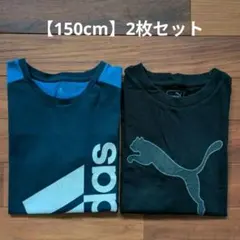 値下げしました　Puma・Adidas Tシャツ2枚セット　150cm