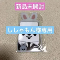 straykids skzoo リービット トレカケース ぬいぐるみセット