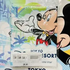 ディズニー　お買い物袋