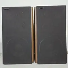 2025年最新】DS-1000 DIATONEの人気アイテム - メルカリ