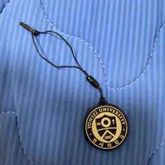 延世大学校　クリーナー