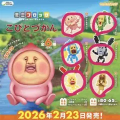 こびとづかん ブロックセット 全6種