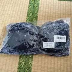 ネイビー ブラジャーショーツセット F85LL