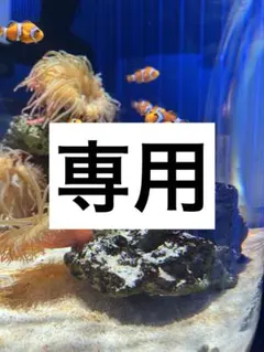 2025年最新】コムドットの人気アイテム - メルカリ