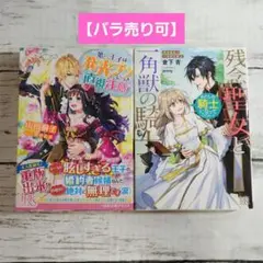 アイリス文庫2冊セット【バラ売り可】