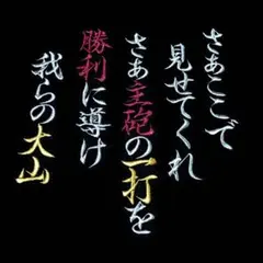 おきしー様確認 刺繍アイロンワッペン 阪神タイガース stadium HERO