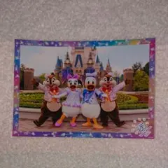 ディズニースペシャルフォト  ドナ デイジー  チデ