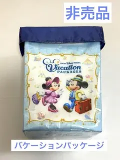 【非売品】ディズニー バケーションパッケージ限定 ポップコーンバケット