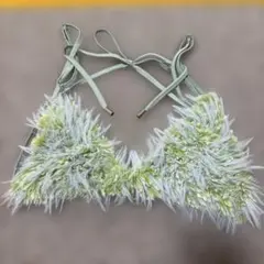 Pameo pose baby bird bra パメオポーズのサムネイル