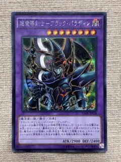 2026年最新】超魔導剣士ブラックパラディンの人気アイテム - メルカリ