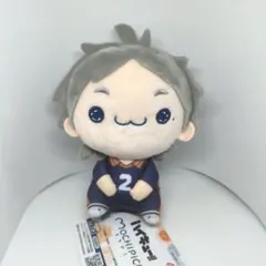 タグ付き✨菅原孝支 もちぴこ ぬいぐるみ5 ハイキュー！！ FURYU フリュー