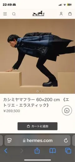 値下げ　【新品】HERMES カシミヤマフラー 60x200 cmのサムネイル