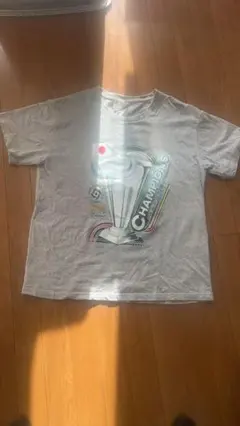 Item thumbnail for item 7821fbd6-3040-4cc6-b0c8-8723b5874df8