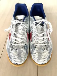 値下げ⭐︎ミズノ フットサルシューズ モナルシーダネオ　24.5cm