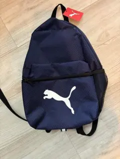 Item thumbnail for item 652ad74c-75ef-4c62-b041-818a4b29a847