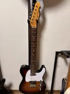 SCHECTER L-OL-MT-TH-AL テレキャスター セミホロウ - メルカリ