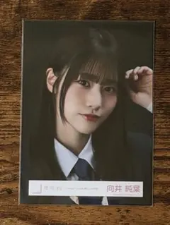 2025年最新】向井純葉 生写真の人気アイテム - メルカリ