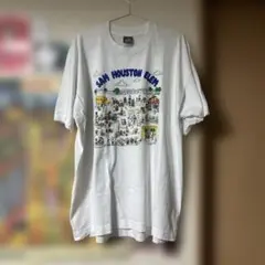90s fruit of the room USA製 Tシャツ シングルステッチ