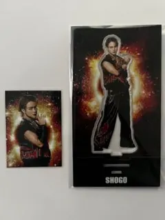 EXILE THE REASON 岩谷翔吾 アクスタ フォトカ