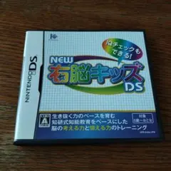NEW右脳キッズDS