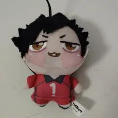 ハイキュー!! 黒尾鉄朗 ぬいぐるみ