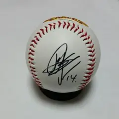 Item thumbnail for item 56818b54-f73d-4f62-b2ec-ddb5220cf659