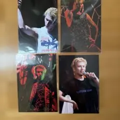 長谷川慎　PRIMAL SPIDER フォトカードセット