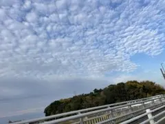 おくちゃん様！まとめ購入専用╰(*´︶`*)╯