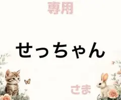 専用