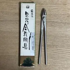 2025年最新】昌国 盆栽の人気アイテム - メルカリ