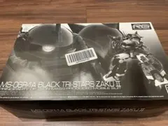 1【新品・未使用】1/144 RG MS-06R-01A 黒い三連星専用ザクII 2025年最新】RG 1/144 MS-06R-1A 黒い三連星専用ザクIIの人気