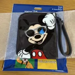 東京ディズニーリゾート ミッキー　ポーチコレクション