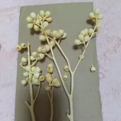 つくつく様 リクエスト 2点 まとめ商品